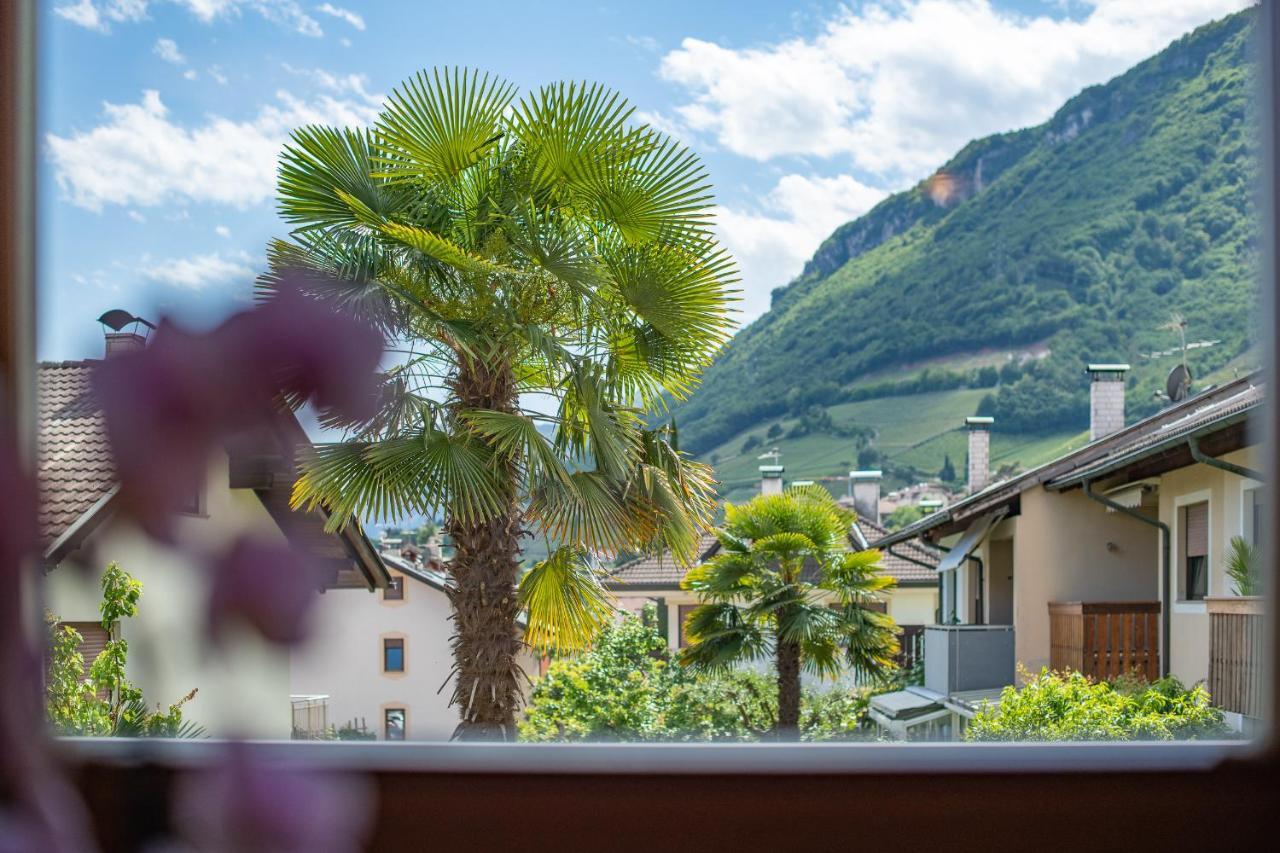 Ferienwohnungen Atz Tramin an der Weinstraße Exteriör bild